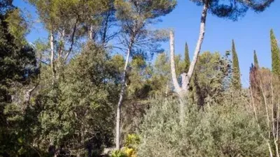 Chalet in Begues photo 36