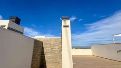 Apartment in Algorfa photo 34