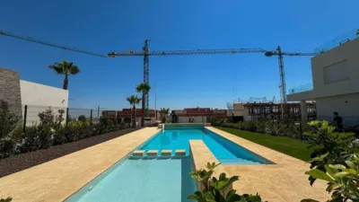 Apartment in Algorfa photo 30
