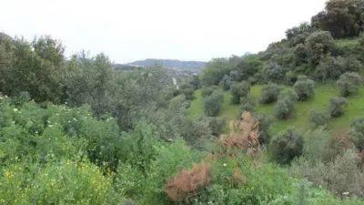 Chalet in Algodonales photo 9