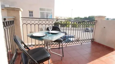 Pis - Vista 5