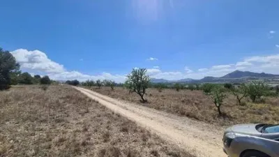 Terreno en venta en Sax - Vista 2