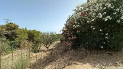 Terreno en venta en La Fustera - Vista 3