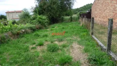 Chalet in O Pereiro de Aguiar photo 12