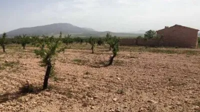 Piso – el Pinós / Pinoso - Vista 5