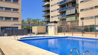 Apartment in Carrús Este-Camí dels Magros photo 18