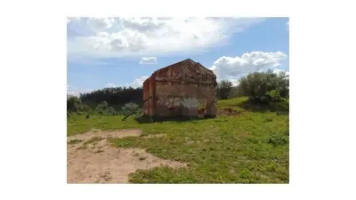 Chalet in Algodonales photo 3