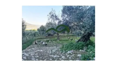 Casa rústica en Zahara de la Sierra photo 15