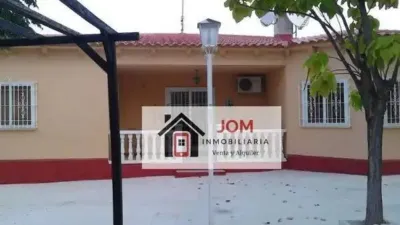 Casa – Albacete, Urbanización La Florida, Vereda - Vista 2