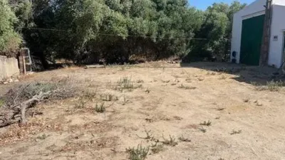Casa rústica en Vejer de la Frontera photo 3
