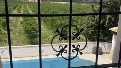 Rustic house in Yecla photo 13