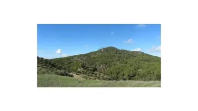 Chalet in Algodonales photo 8
