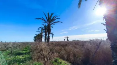 Chalet in Elx - Elche photo 30
