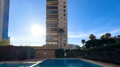 Apartment in Las Adelfas-Benicolada-Garduix photo 34