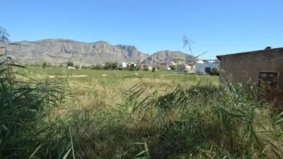 Terreno en venta en Orihuela - Vista 4
