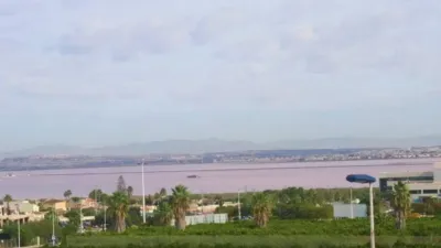 Piso – Torrevieja, Urbanización Los Balcones - Vista 4