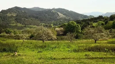 Terreno en venta en Candamo - Vista 3