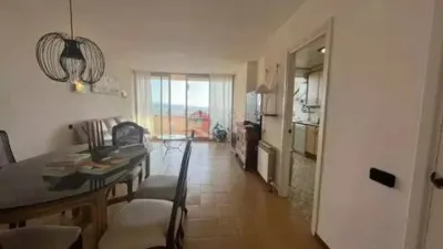 Apartment on Carrer del Grumet photo 12