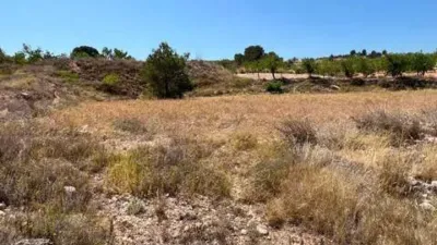 Terreno en venta en Orihuela Pedanías - Vista 3
