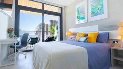Pis – Benidorm - Vista 4