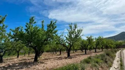 Terreno en venta en Hondón de los Frailes - Vista 3