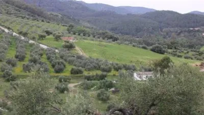 Chalet in Algodonales photo 12