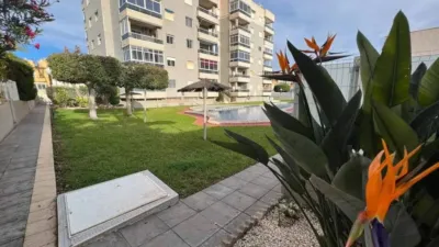 Piso – Torrevieja - Vista 4