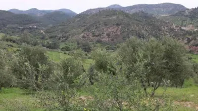Chalet in Algodonales photo 20
