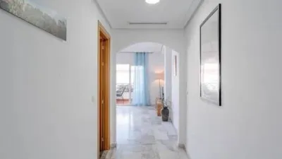 Apartment in Las Adelfas-Benicolada-Garduix photo 15