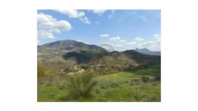 Chalet in Algodonales photo 4