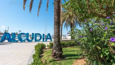 Apartment in Platja d'Alcúdia-Port d'Alcúdia photo 8