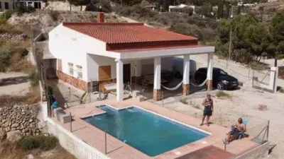 Pis – Crevillent, el Baix Vinalopó - Vista 3