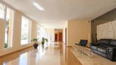 Apartment in Vallpineda-Santa Bàrbara photo 34