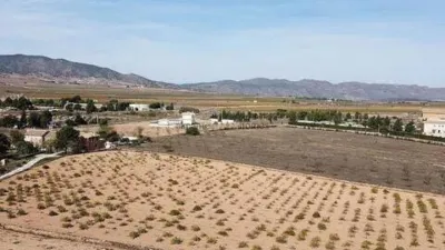 Terreno en venta en El Pinós - Pinoso - Vista 3