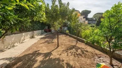 Chalet on Carrer del Mestre Lluis Millet photo 35