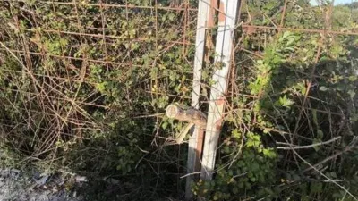 Terreno en venta en A Ramallosa - Vista 4