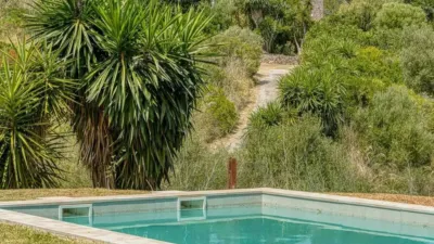 Chalet in Marina Manresa-Mal Pas-Bonaire photo 53