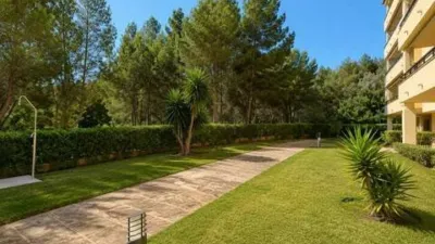 Apartment in Sant Agustí photo 20