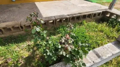 Rustic house in Medina Sidonia photo 30