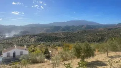 Chalet in El Burgo photo 31