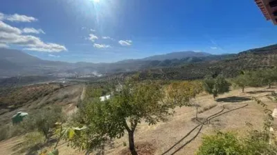 Chalet in El Burgo photo 22