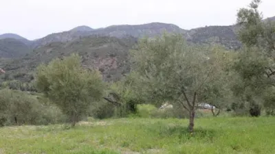 Chalet in Algodonales photo 21