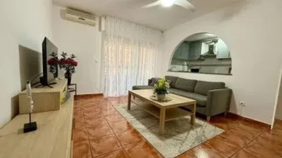 Pis – Torrevieja - Vista 4