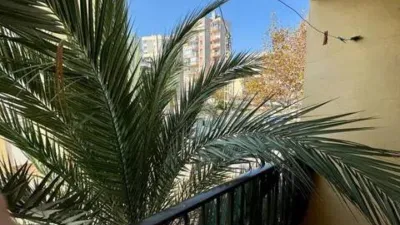 Apartment in Puerto photo 21