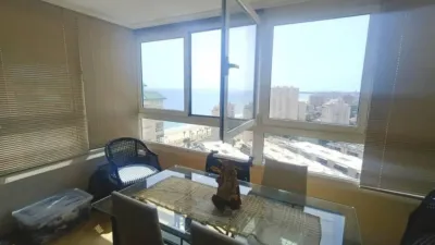 Apartment in Carrer Hisenda de l'Administrador photo 8
