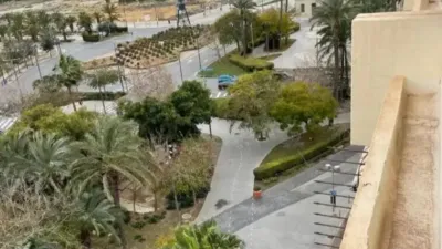 Pis – Alacant / Alicante, l'Eixample, l'Alacantí - Vista 3