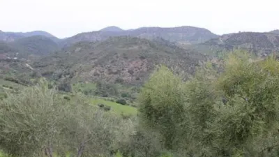 Chalet in Algodonales photo 5