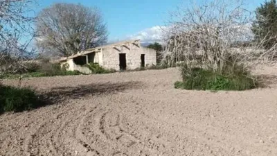 Rustic house in Muro photo 6