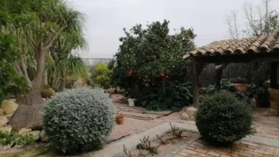 Chalet en Murcia Capital photo 8