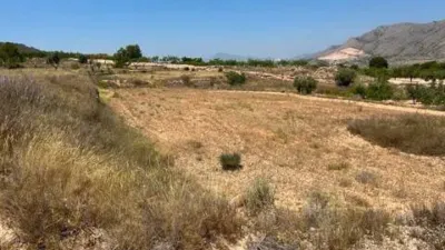 Terreno en venta en Orihuela Pedanías - Vista 4